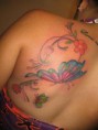 /album/tatuagem-fem/borboleta-jpg1/